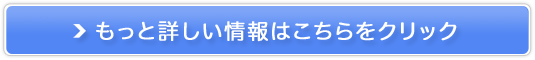 EFfBOhX̊i̔EE^yLandybridalz̔TCg
